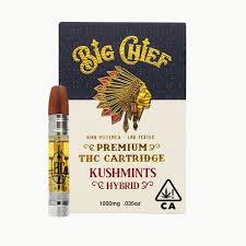 Big Chief - Mint